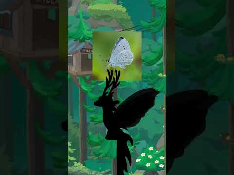 All the dragons you’ll meet in our game, Hatch Dragons, have evolved alongside nature!