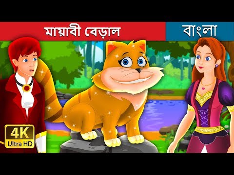 ভিডিও: বিবিধ মায়াবী বৈশিষ্ট্য