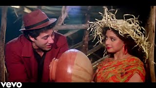 Tera Bemar Mera Dil {HD} Video Song | ChaalBaaz | Sunny Deol, Sridevi | Kavita Krishnamurthy, Aziz