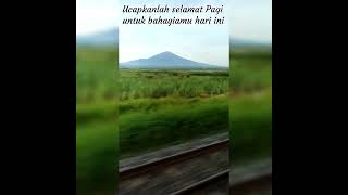 Selamat Pagi Wa Story Dewa pagi bahagia