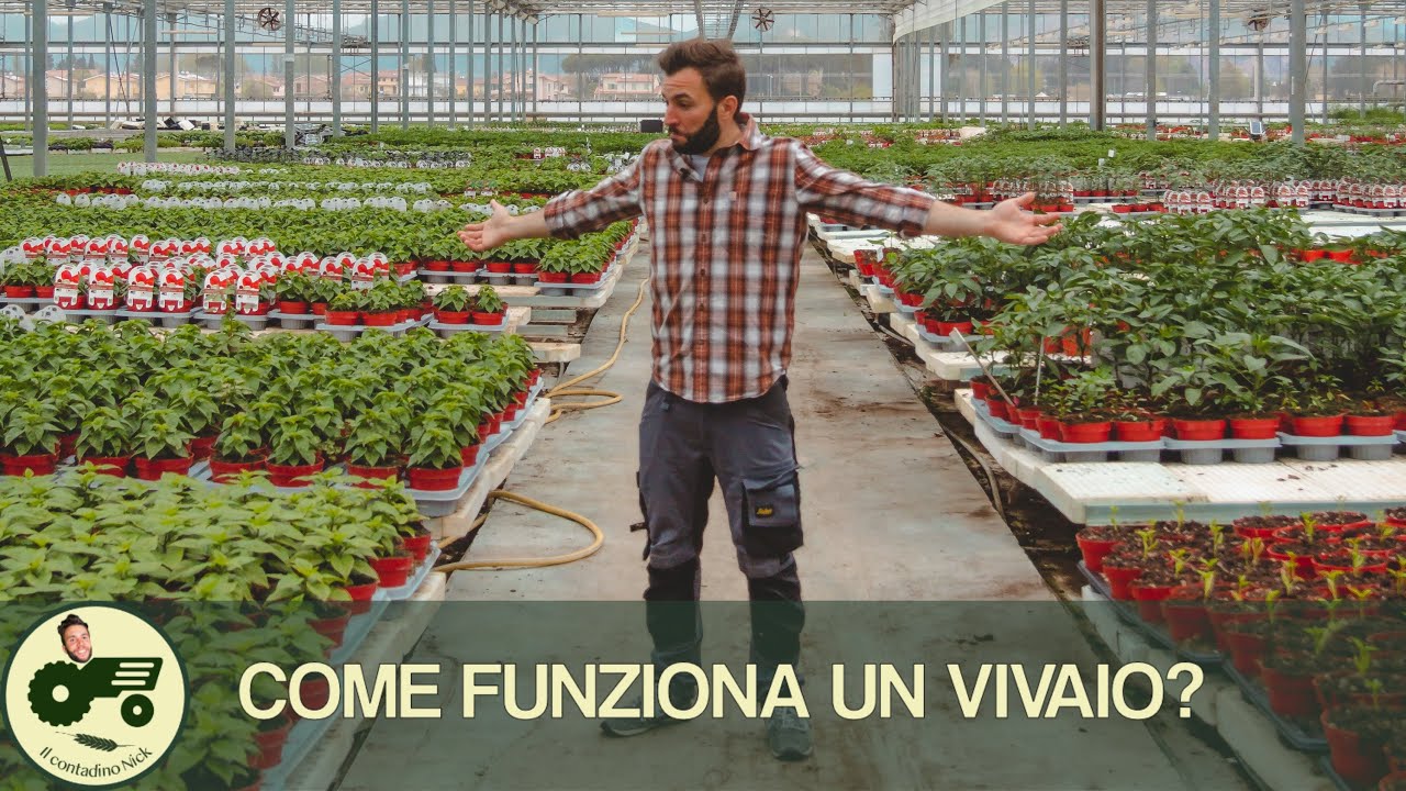 Come funziona un VIVAIO? - Il contadino Nick