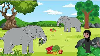 WHAT DO ANIMAL EATS?