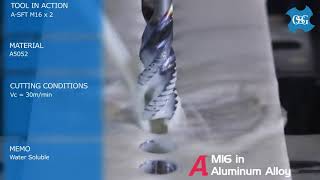 OSG - Aplicación machos A-SFT - Tools in action