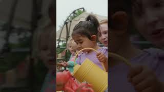 Celebrity The Outdoor Classroom | Kinderberry Hill #toddlers  #toddleractivities #childcare #natureforkids Profile