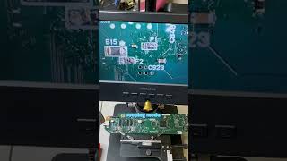 Celebrity Unlock a New Passion with a High-Powered Microscope! Wealth