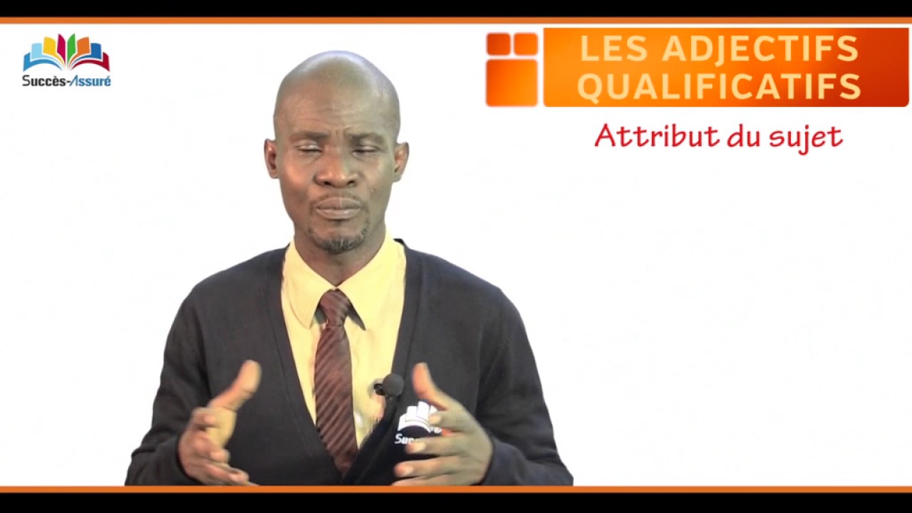 Les adjectifs qualificatifs - YouTube