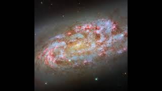 Hubble Reveals Chaotic Star Formation In Galaxy Ngc 1792