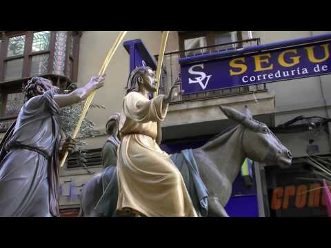 Real Cofradía de Jesús en su Entrada Triunfal en Jerusalén