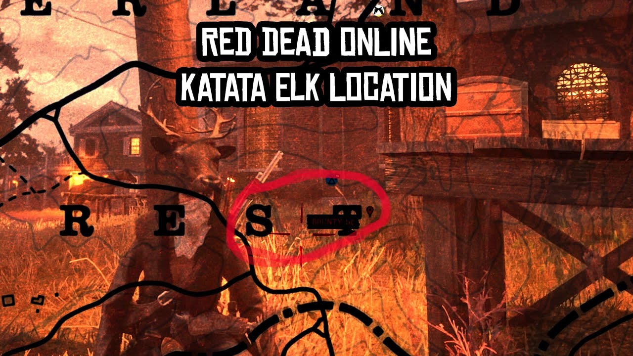 Red Dead Online Katata Elk Location Guide (Where to find Katata Elk