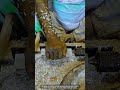 How Hand Lathe Carving Shapes Wooden Handles Into Perfect Tool Grips