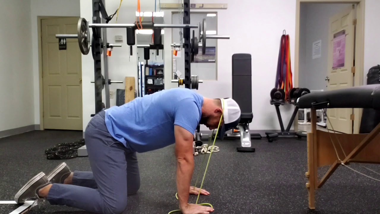 quadruped chin tucks YouTube