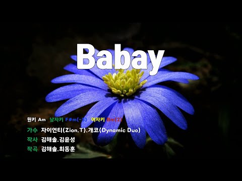 [은성 반주기] Babay - 자이언티(Zion.T).개코(Dynamic Duo)