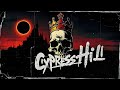 Cypress Hill Doctor Green Remix 2026 HQ mp3