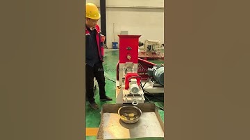 Floating fish feed pellet machine,clients from Cameroon,visit factory #fishfeedmachine #fishfarming