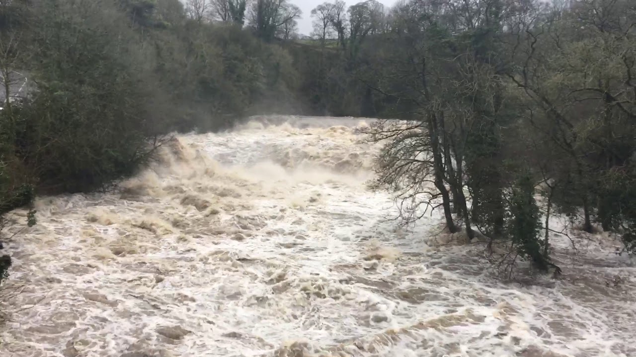 Aysgarth falls in flood. Waterfall. Wensleydale. River Ure. Storm Ciara