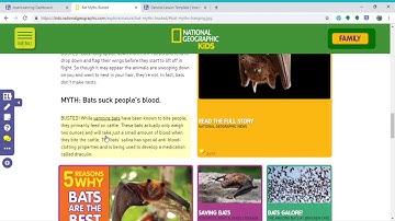 How to use Insert Learning