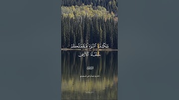 القارئ عبدالرحمن المسعودي - سورة النمل تلاوة خاشعة وكأنك تسمعها لأول مرة 💜🌴|.✿