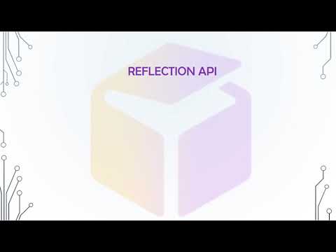 Java Reflection API