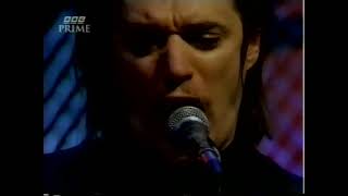 Nick Cave Thirsty Dog Live Later with Jools Holland 1994