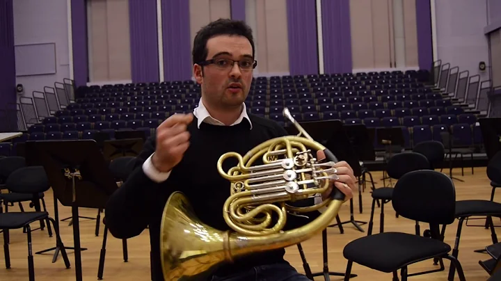 Bruckner's 4th Tips & Experiences - Alberto Menndez