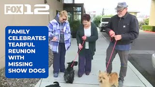 Family celebrates tearful reunion with missing show dogs; stolen van found