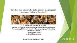 Derechos medioambientales de las abejas y participación ciudadana en la Nueva Constitución de Chile