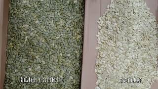 AMD 4D Infrared Differentiation of Shelled Pumpkin Seeds with Deep Learning AI SY Sorting Machine