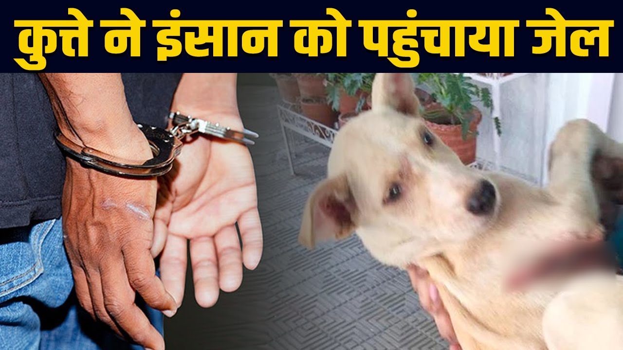 Pashu : युवक ने अपने 1 कुत्ते को गले में रस्सी का फंदा कसकर मार डाला, दफनाने की कोशिश के दौरान खुला राज…