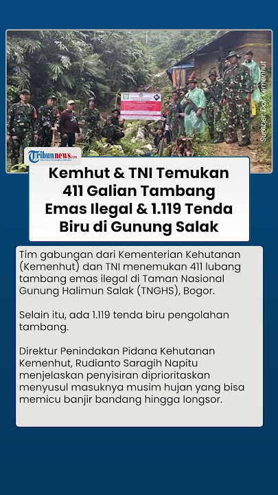 Kemhut-TNI Temukan 411 Lubang Tambang Emas Ilegal & 1.119 Tenda Biru di Gunung Halimun Salak