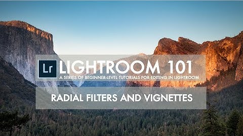 Lightroom 101 Radial Filter and Vingette