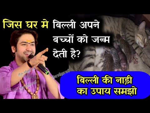 वीडियो: क्या किसी का जन्म 2 विलियों के साथ हुआ है?