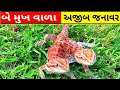 વિચિત્ર બે માથાવાળા પ્રાણીઓ | weird two headed animals |  🔥Two Head Snake !!