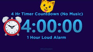 4 Hour Timer Countdown (No Music) with 1 Hour Loud Alarm screenshot 4