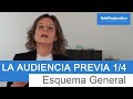 AUDIENCIA PREVIA 1. Esquema General 1/4