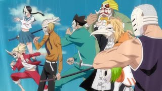 Vizards Vs Gilliansbleach