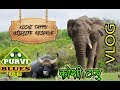 VLOG Koshi Tappu Wildlife Reserve || कोशीटप्पुका अर्ना र हात्ती || Jungle Safari