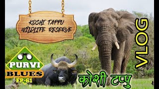 VLOG Koshi Tappu Wildlife Reserve || कोशीटप्पुका अर्ना र हात्ती || Jungle Safari