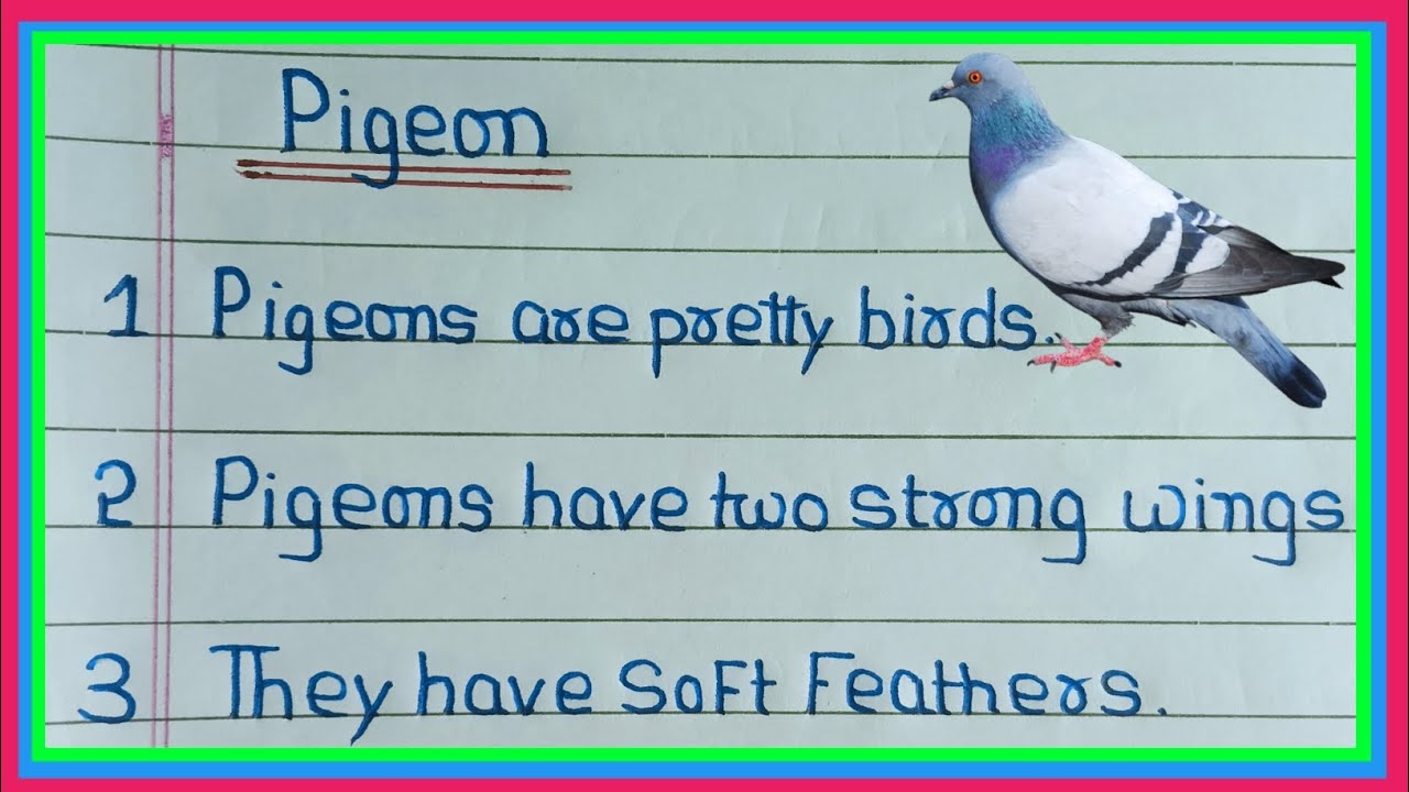 Pigeon Essay In English 5 Lines | 5 Lines On Pigeon In English | Short Essay On Pigeon 5 Lines