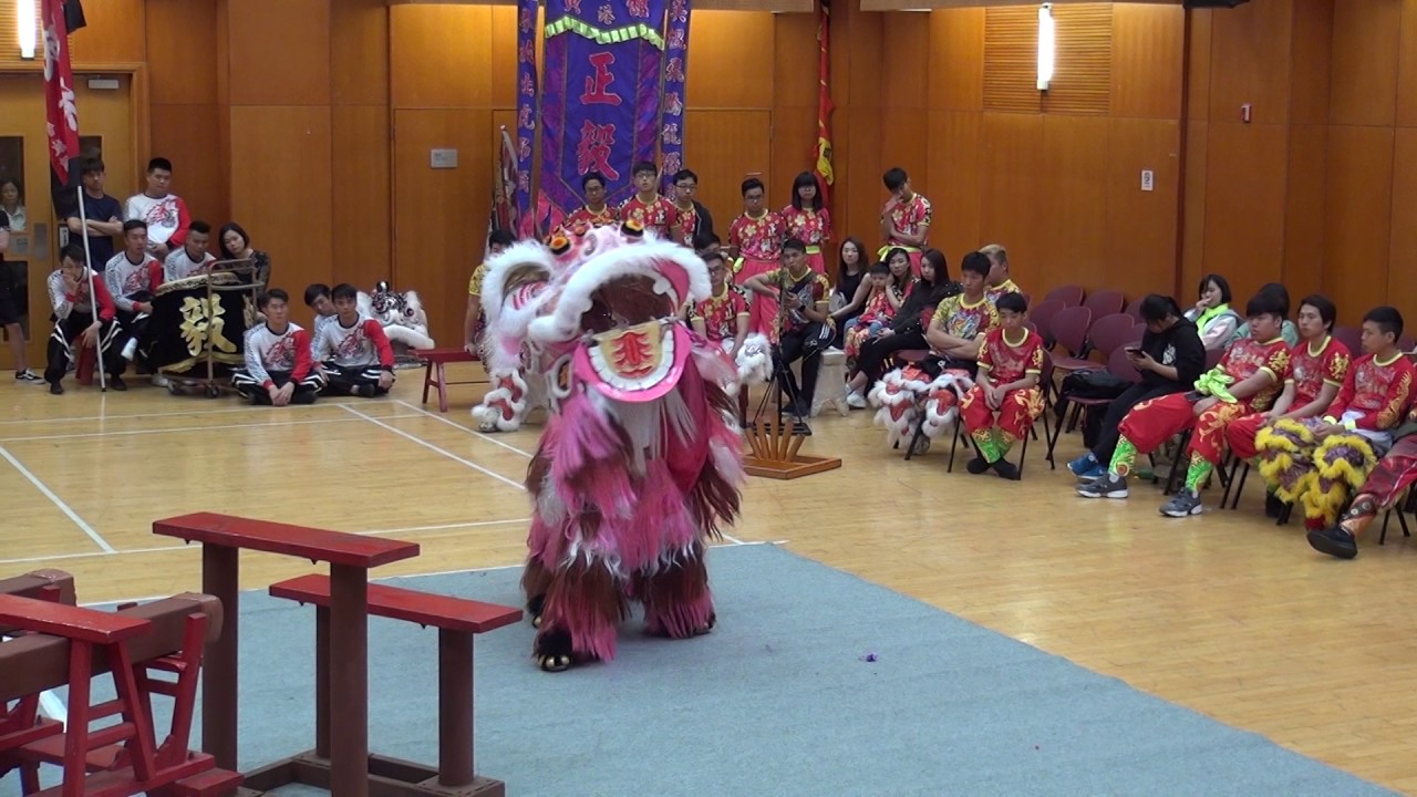 第九屆東區龍獅邀請賽 9th Eastern Games 20170501 獅 lion 雄獅樓扎作南獅隊 冠軍 Champion