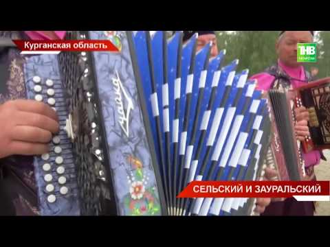 Сельский и зауральский
