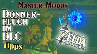 Donnerfluch trotz begrenzter Ausrüstung im Master-Modus besiegen (Tipps) - Ballade von Urbosa | BotW