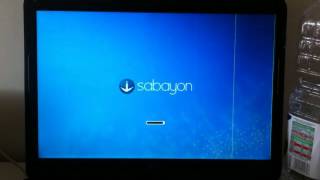Slow boot with Sabayon 14.05