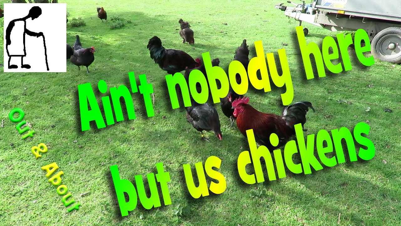 Aint Nobody Here But Us Chickens Youtube