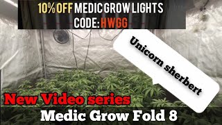 Medic grow fold 8 Ep1 Unicorn Sherbert Ep1 ( 2.5 weeks into flower.) we have are own code this run