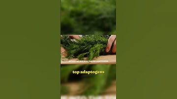 Unlock Calm & Energy Naturally | How Adaptogens Fight Stress & Boost Resilience