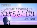 【睡眠朗読】天使が人間をみて感じたものは〜小川未明「海からきた使い」【元NHKフリーアナウンサーしまえりこ】