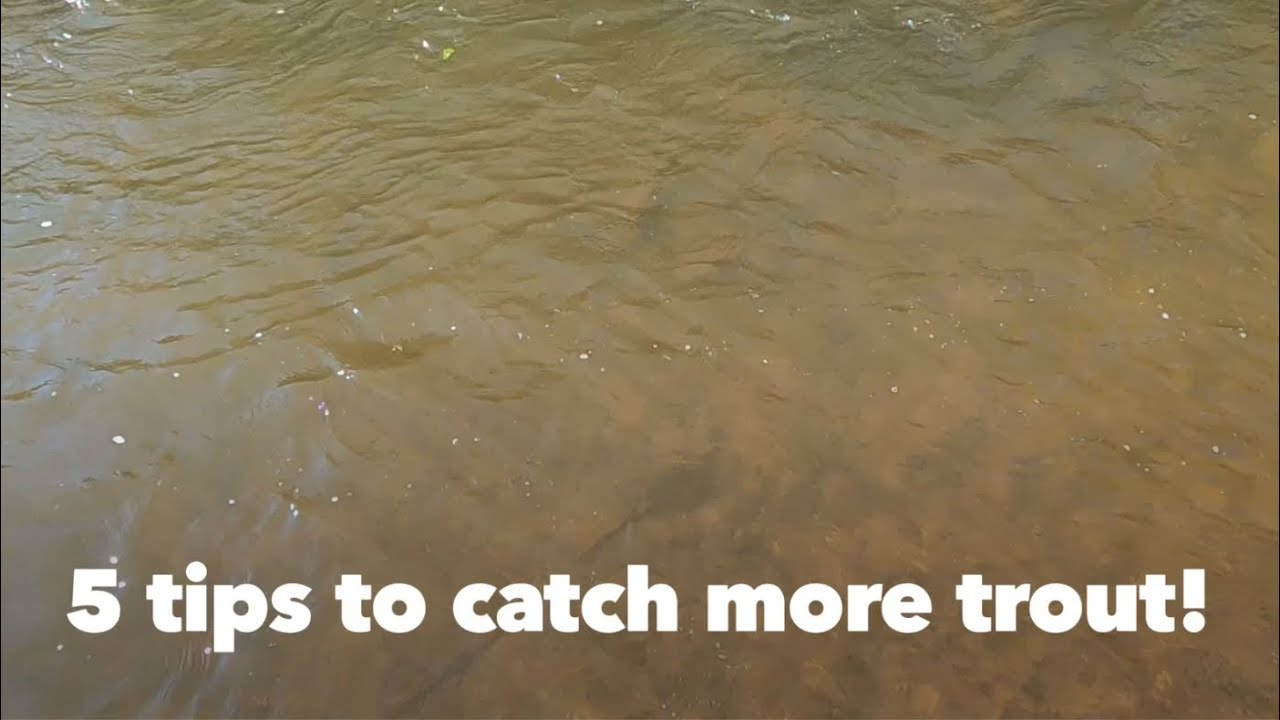 5 Tips to catch more trout! YouTube