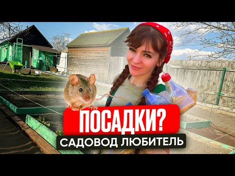 Сезон посадок открыт, с вами Лёка садовод любитель #lekadom #жизньвдоме #DIYПроекты