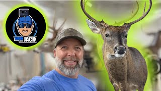 Mounting a Buck for YAKIN WITH JACK!