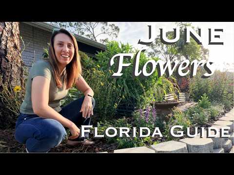 What to Plant in June in Florida | Flower Garden Guide
